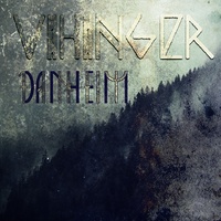 Danheim - Vikinger