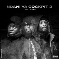 Wakadinali - Chunga