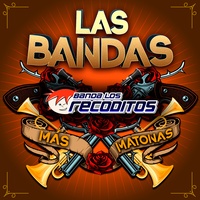 Sound cover