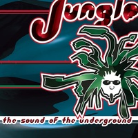 Sound cover