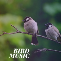 Sound cover