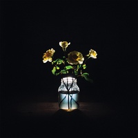Billy Strings - Red Daisy