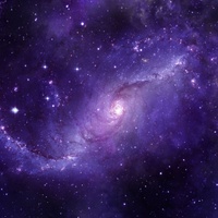 Killer Bee - Space