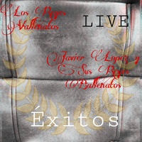 Los Reyes Vallenatos & Javier Lopez Y Sus Reyes Ballenatos - Noche ...
