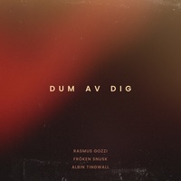 DUM AV DIG