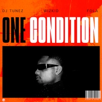 Sound cover