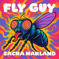 Fly Guy