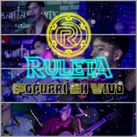 Sound cover