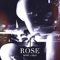 MSMV - Rose