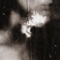 Holding Absence - Like a Shadow