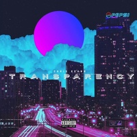 Chris Brown - Transparency