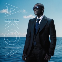 Akon - Troublemaker