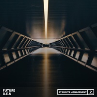 D.E.N - Future