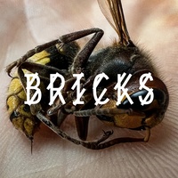 Somewhen & Bibi Bourelly - Bricks