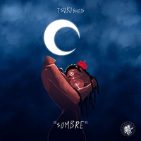 mode sombre tiktok pc