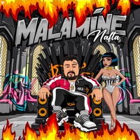 NAFTA - Malamine