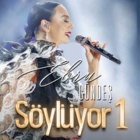 Sound cover