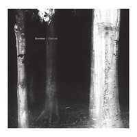 Brambles - Arête