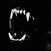 Wels - PULL UP