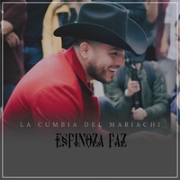 Sound cover