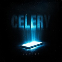 Junior RCE - CELERY (CLEAN)