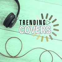 Sound cover
