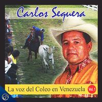 Caballo Botiquín