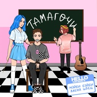 Sound cover