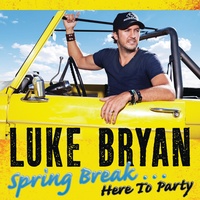 Luke Bryan - Buzzkill