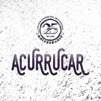 Sound cover
