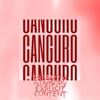 Sound cover