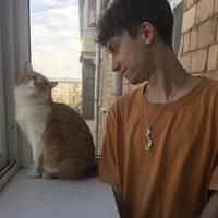 Неприязнь
