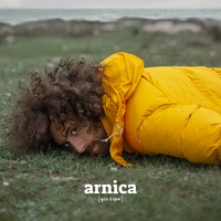 Gio Evan - Arnica
