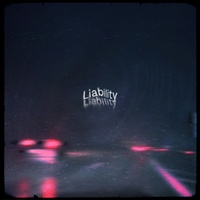 SWIM - Liability