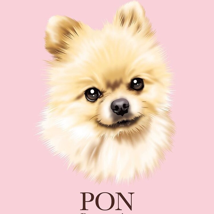 The Profile Image Avatar of pon_pon_ponchan - ??ぽんちゃん??