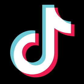 The Profile Image Avatar of tiktok_india - TikTok_India