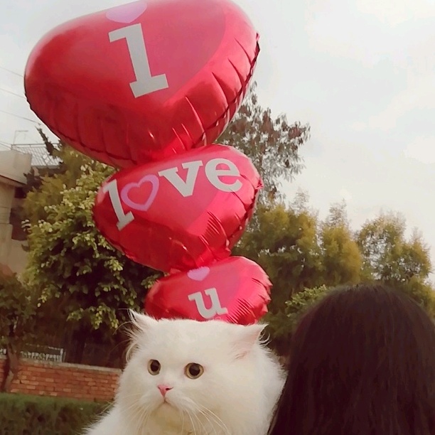 @princessmuezza.cat