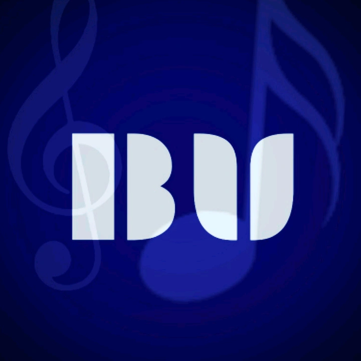 @bgm_vibs - original sound