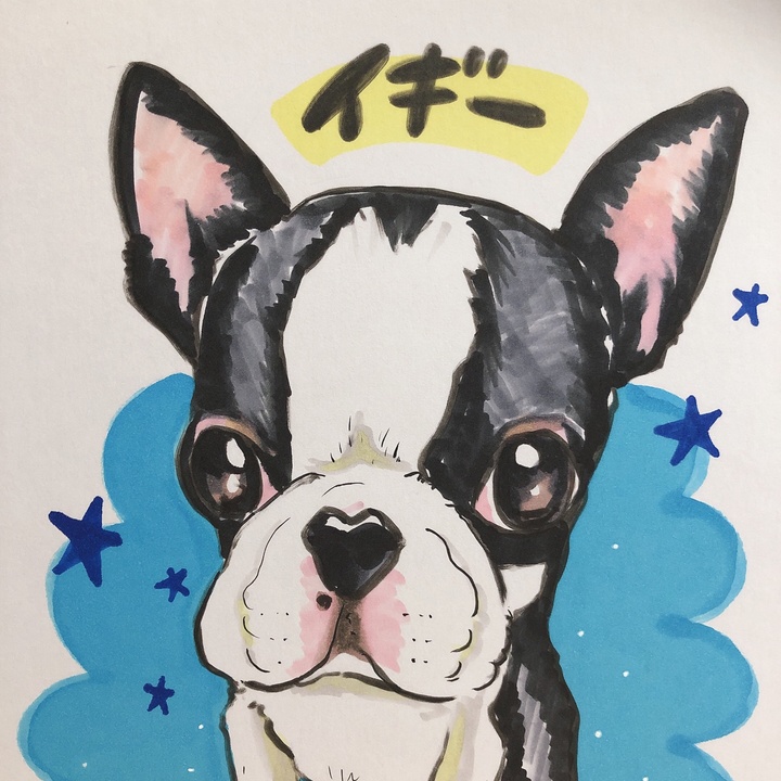 Iggy0809 イギー Tiktok