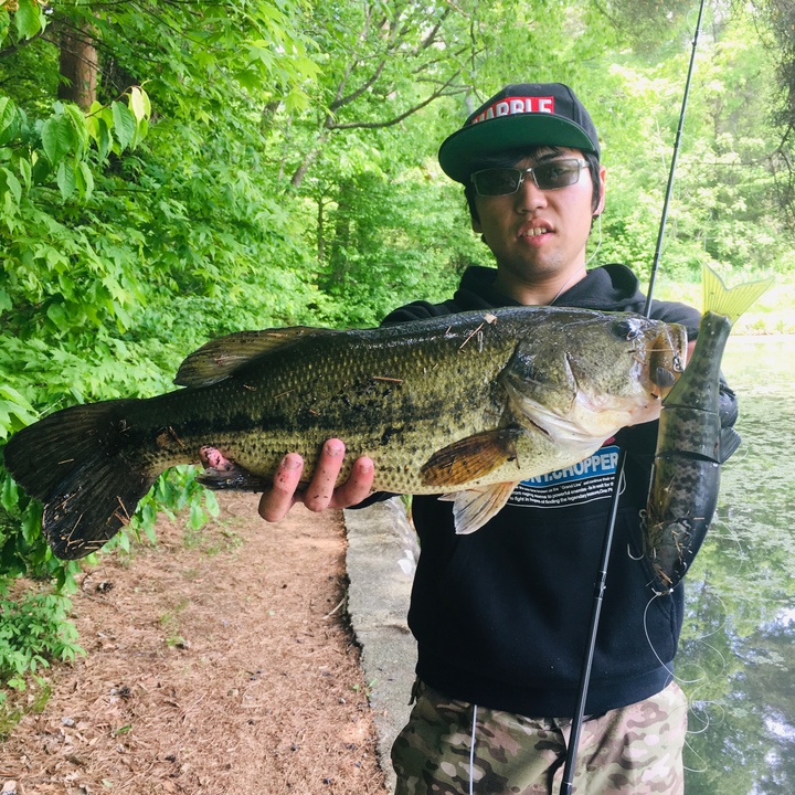 さっきのキャスティング動画の音源無しバージョン デカイルアーが水に沈むとこの様な音になります キャストの衝撃とルアーが水面に落ちた時の体への負荷はヤバいですね Gorimn Tiktok