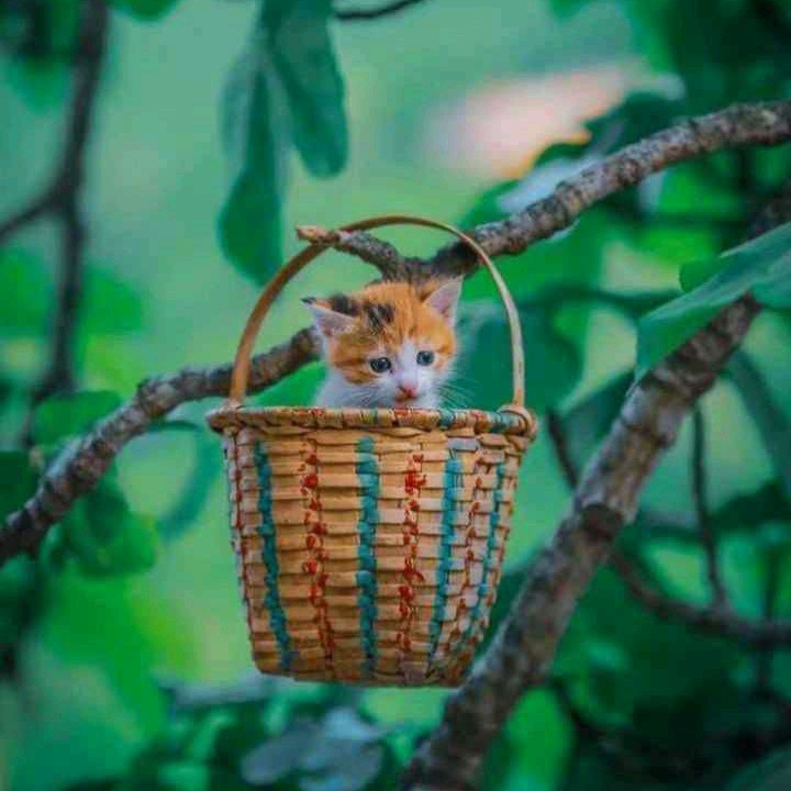 @user96422222222