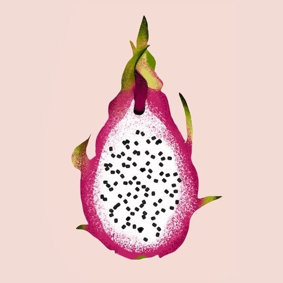 The Profile Image Avatar of pitayaterrorifica - Pitayaterrorifica