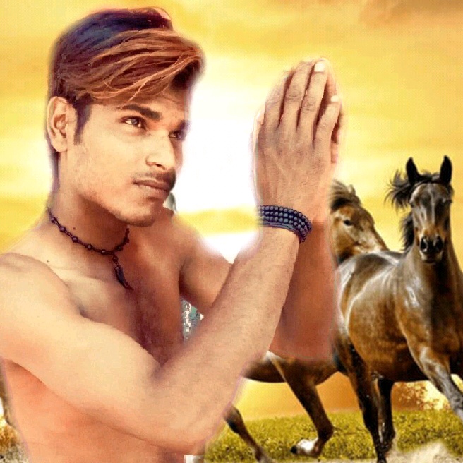 @sunillakha287