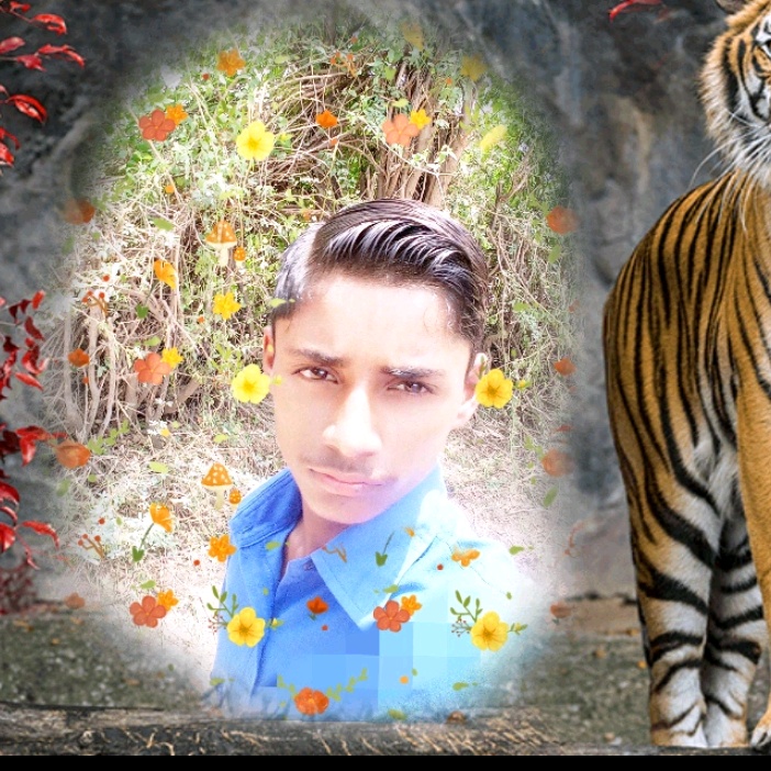 @sureshthakor9080 - suara asli