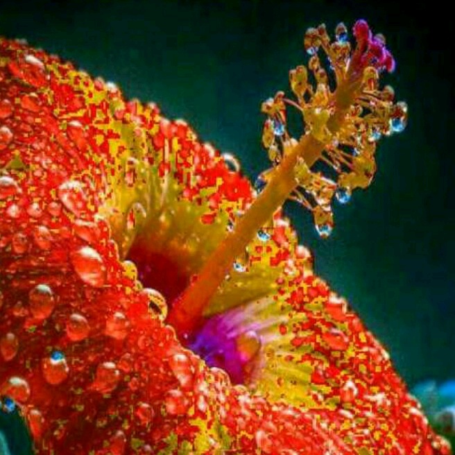 santhosh9885