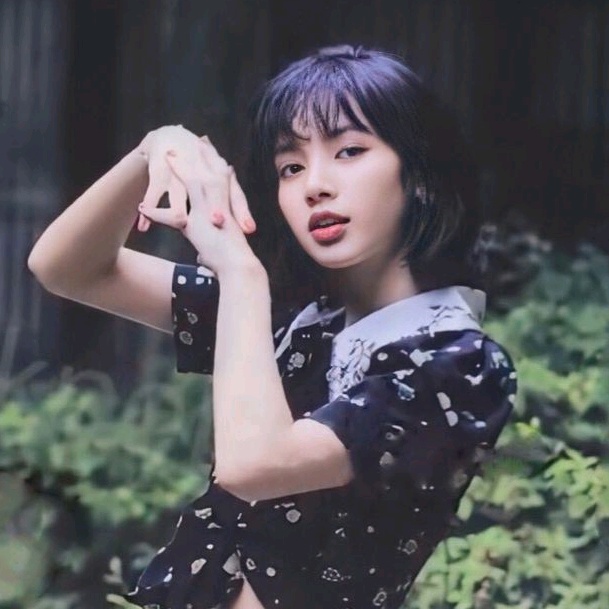 The Profile Image Avatar of userblink.girl - ✨ LILISA_ ?