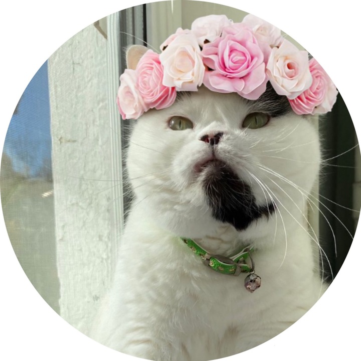 Котенка зовут пушок. Котенка зовут пушок