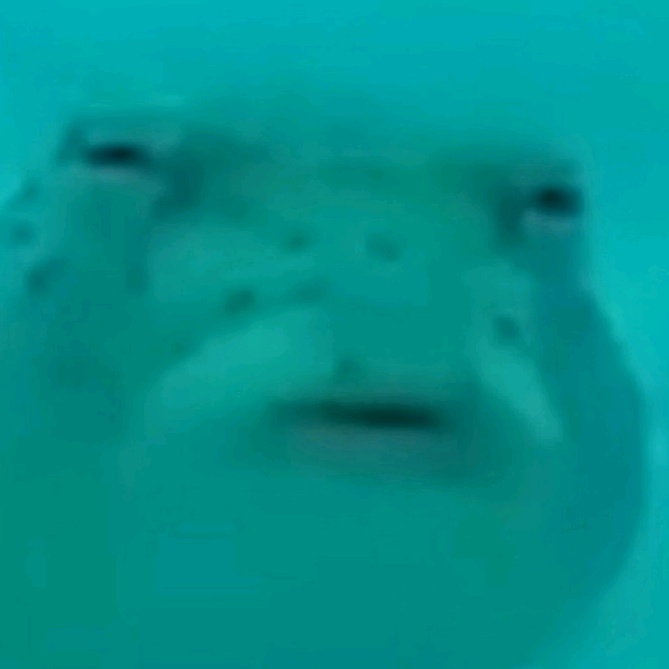 🦄 @yuuliiaa_ - Юля Кружкова - TikTok