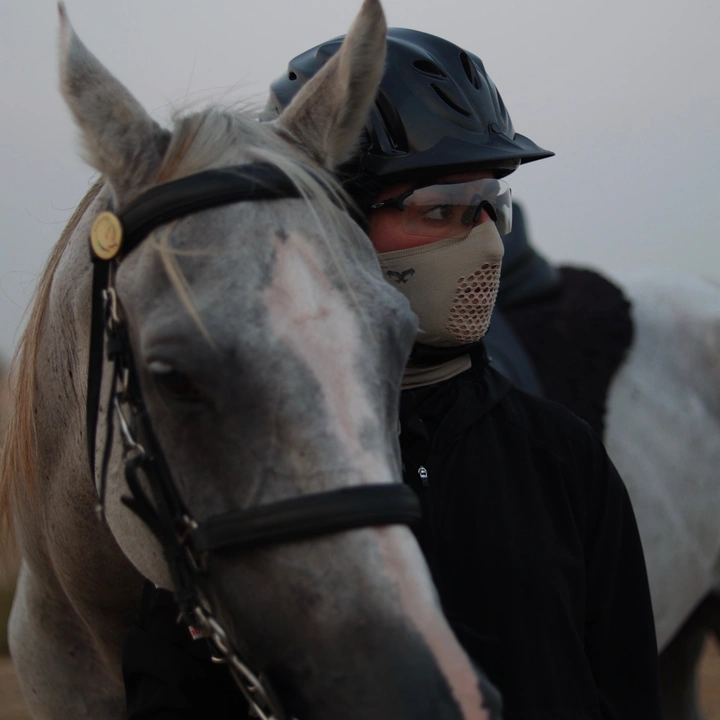 DA 🐎 - dinaa.ak