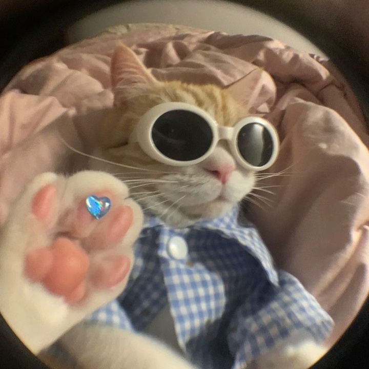 PN - suara asli